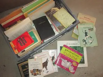 LOT DE LIVRES DIVERS ET VARIES