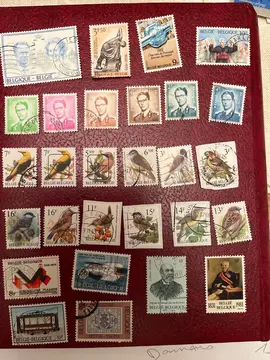 timbres belges lot 19