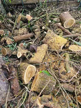 donne bois pour cheminée