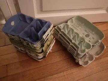 19 boîtes d'œufs VIDES