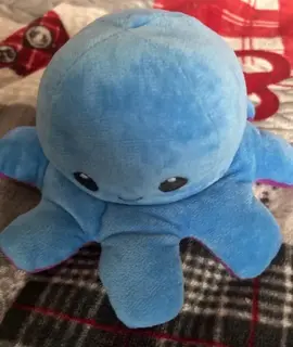 pieuvre changement d’humeur