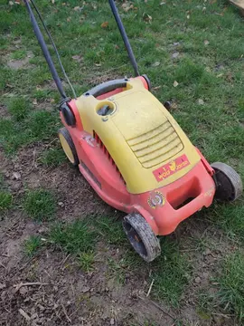 tondeuse électrique Wolf