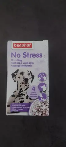 no stress chien