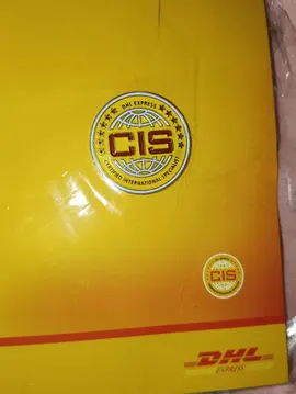 pin's DHL neuf