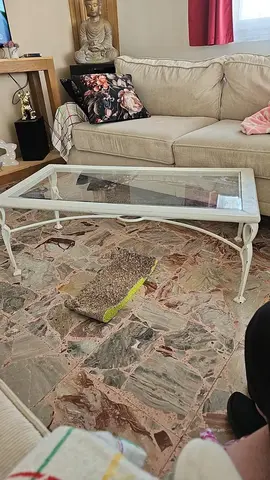 table basse et sellette très solide elle est en fer l