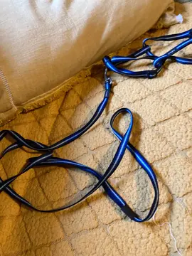 laisse + harnais pour chat ou chien poche