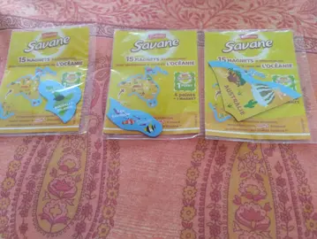 lot 3 magnets savane