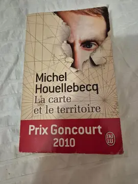 Michel Houellebecq la carte et le territoire