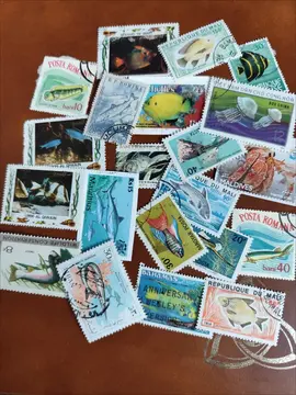 lot unique timbres poissons