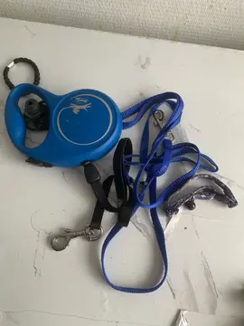 sangle pour chien ou chat