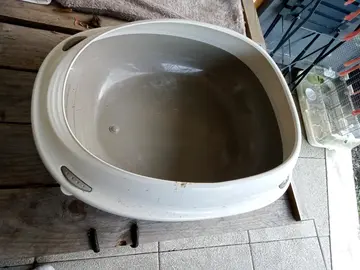 litière chaton ou jeune chat