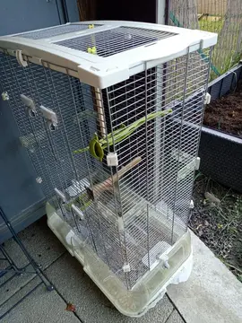 grande cage à oiseaux