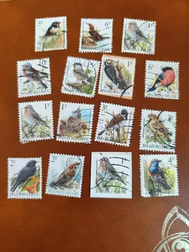 15 timbres oiseaux (Belgique)