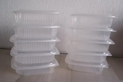 Barquettes plastiques x 10