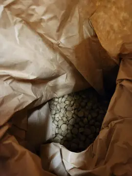 croquettes chien senior