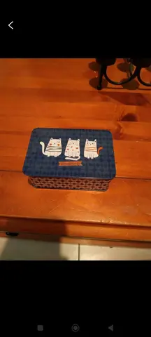 petite boîte métal déco chats