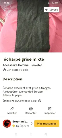 écharpe grise mixte