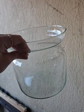 pot en verre (exemple pour terrarium)