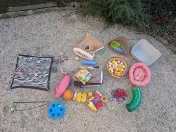 Lot jouets et accessoires pour chat/furet/NAC