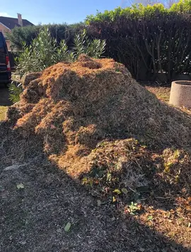 Broyât de végétaux