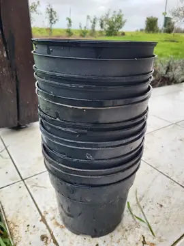 pots en plastique pour semis