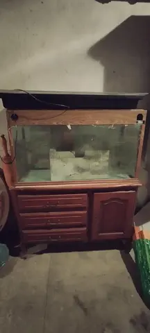 aquarium