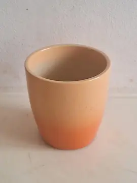 pot de fleur ou plante