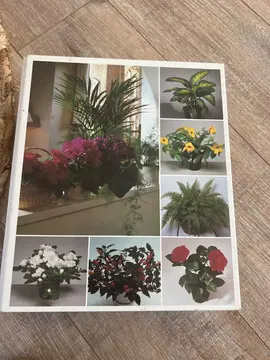 LIVRE CLASSEUR SUR LES PLANTES&FLEURS