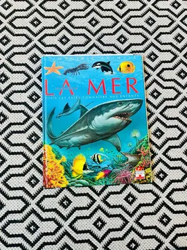 livre illustré enfants