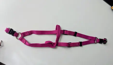 Harnais rose/violet taille M