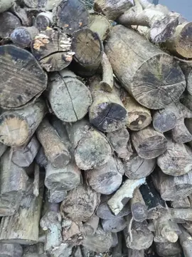 bois de chauffage 1,80m de haut sur 80 de large. je ne sais pas quel genre de bois