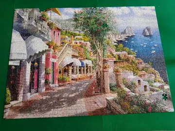 Puzzle 1000pieces