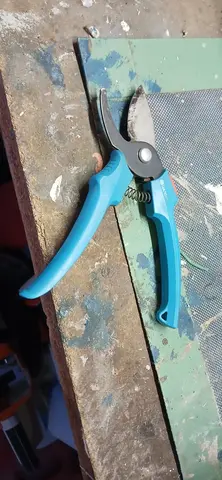 secateur