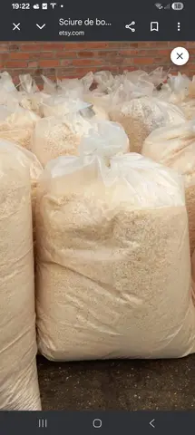 donne sciure de bois