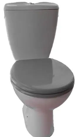 WC avec couvercle freiné