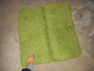 tapis vert