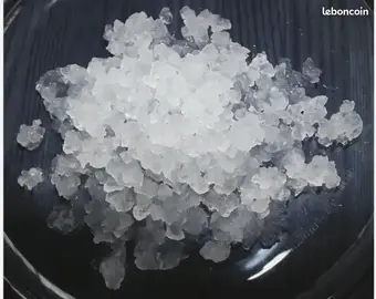 Grains de kéfir de fruit