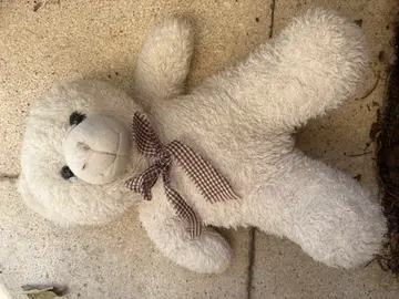 Peluche ours en peluche blanc