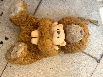 Peluche ours en peluche