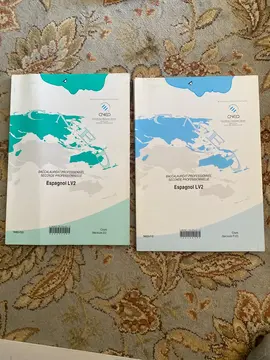 cahier bac pro espagnol