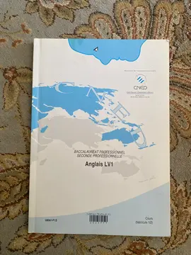 cahier bac pro anglais