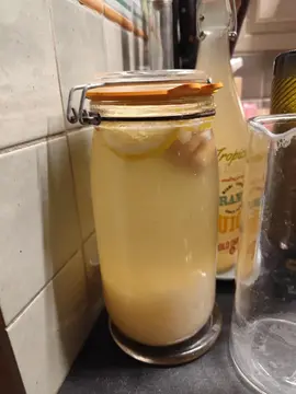 grains de kéfir de fruits