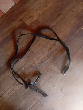 des reines pour cheval