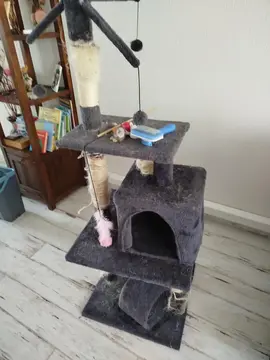 arbre à chat + jouets + brosse