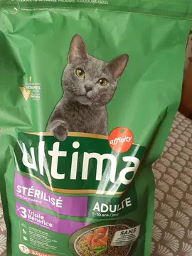 repas sec pour les chats