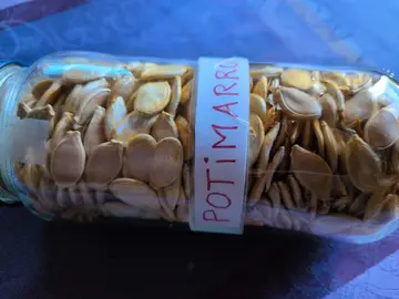 10 graines de potimarron