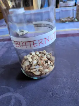 10 graines de butternut