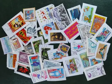 joli lot unique France le 21/03