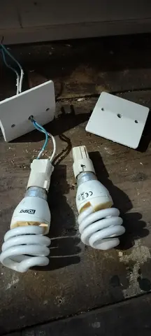 2 prises + 2 douilles + 2 ampoules