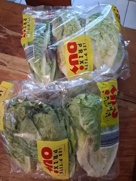 4 sachets de sucrine